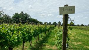 BOEK SNEL JE TICKETS