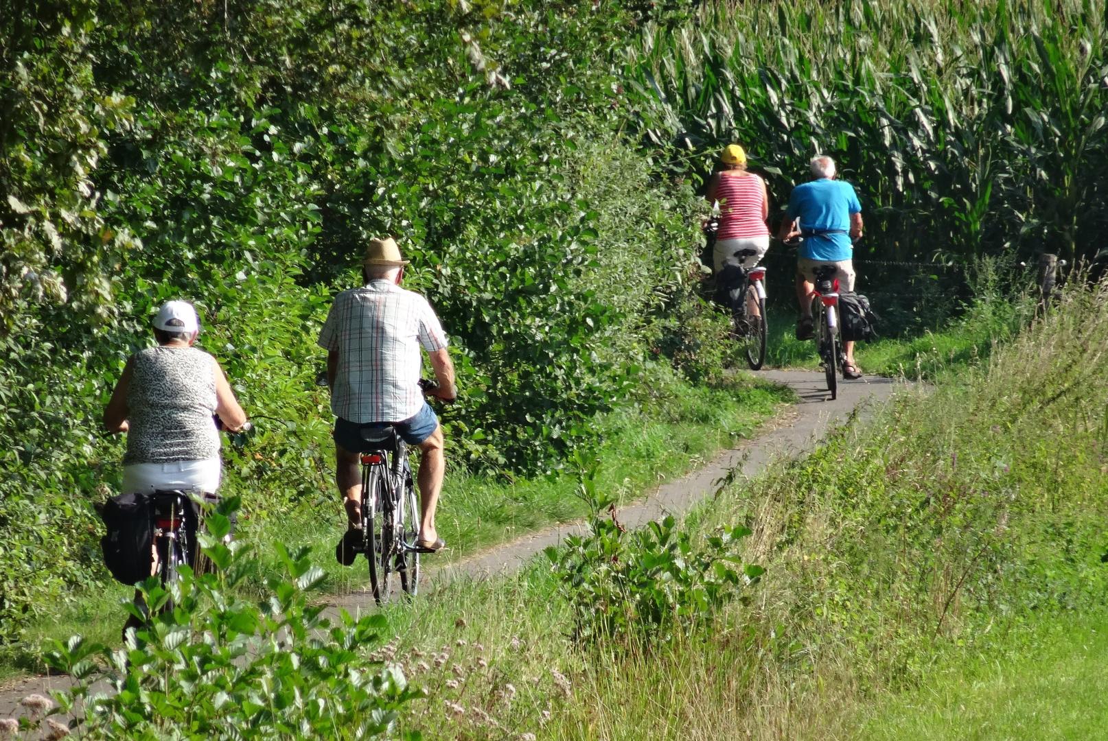 Mensen op de fiets op een pad langs mais