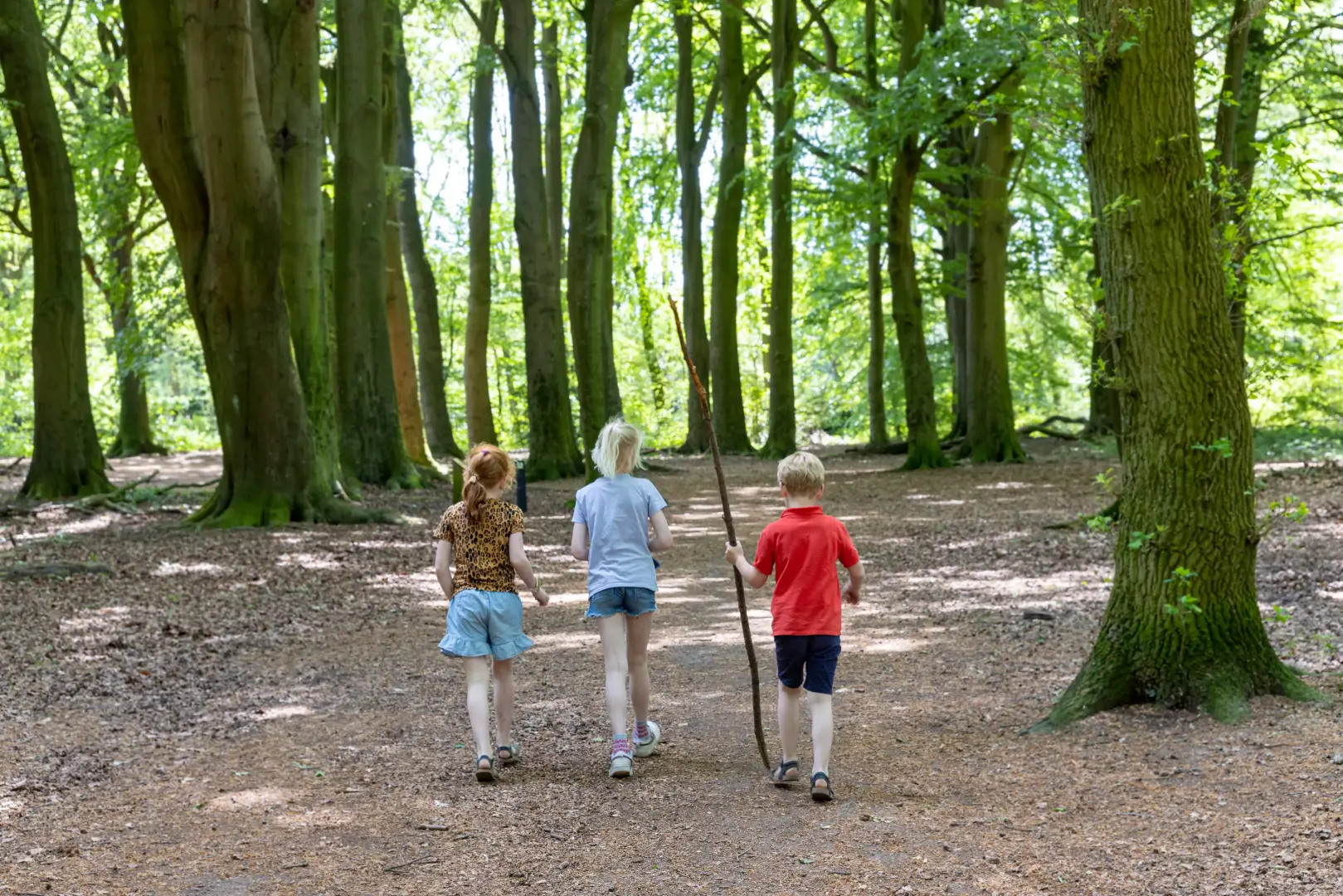 Kinderen aan het wandelen in een bos
