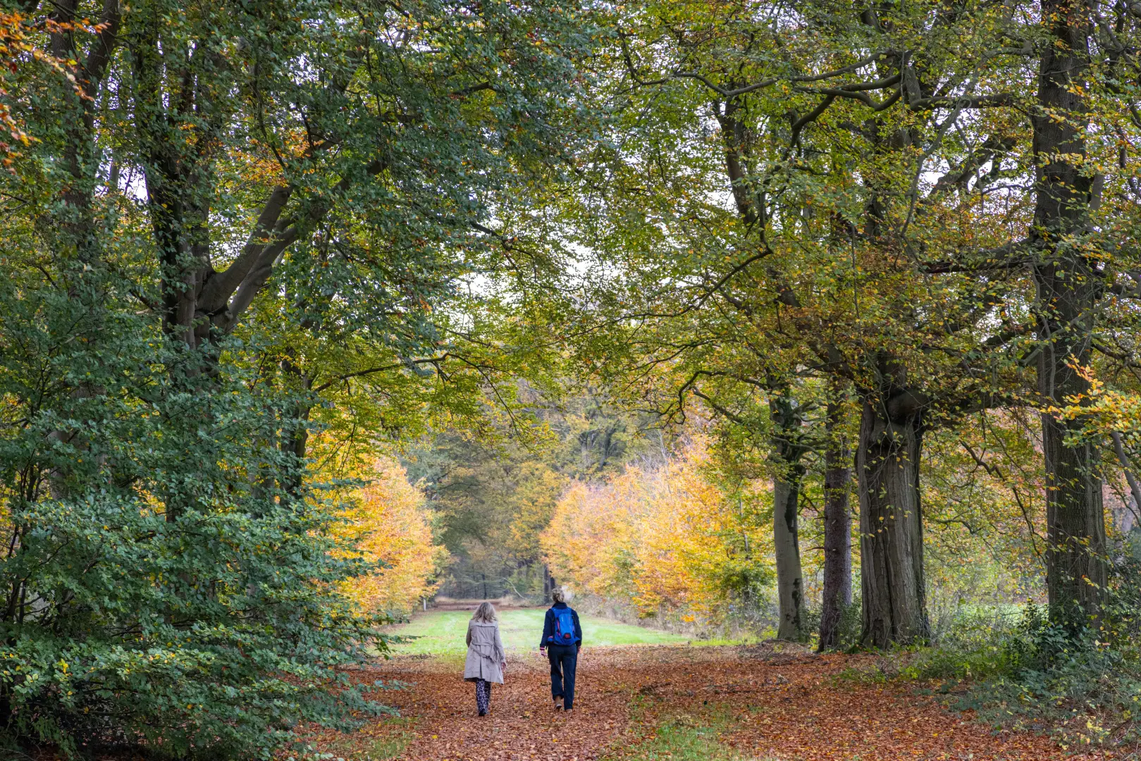Twee mensen lopen door een bos met oude bomen