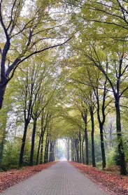 Landgoed Beekvliet