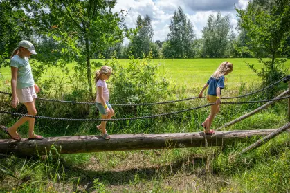 Kinderen lopen in de zomer over een houten balk