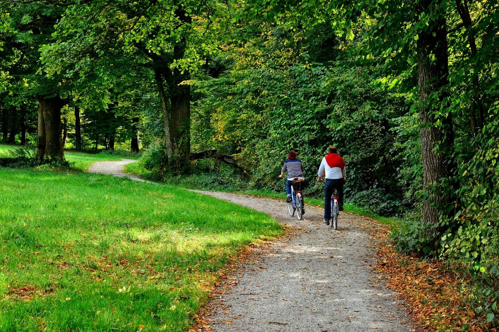 Twee mensen van achteren gezien op de fiets op een pad met bomen