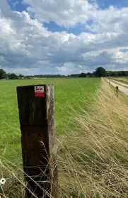 Klompenpad Bruilschepad in Ruurlo