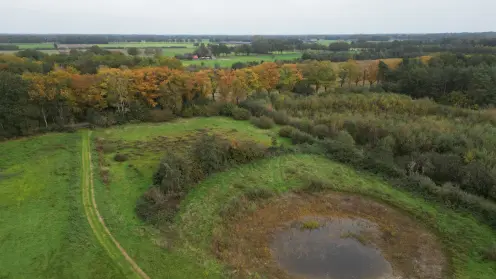 Natuurgebied Noordijkerveld