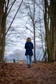 Rijkenbargse bos