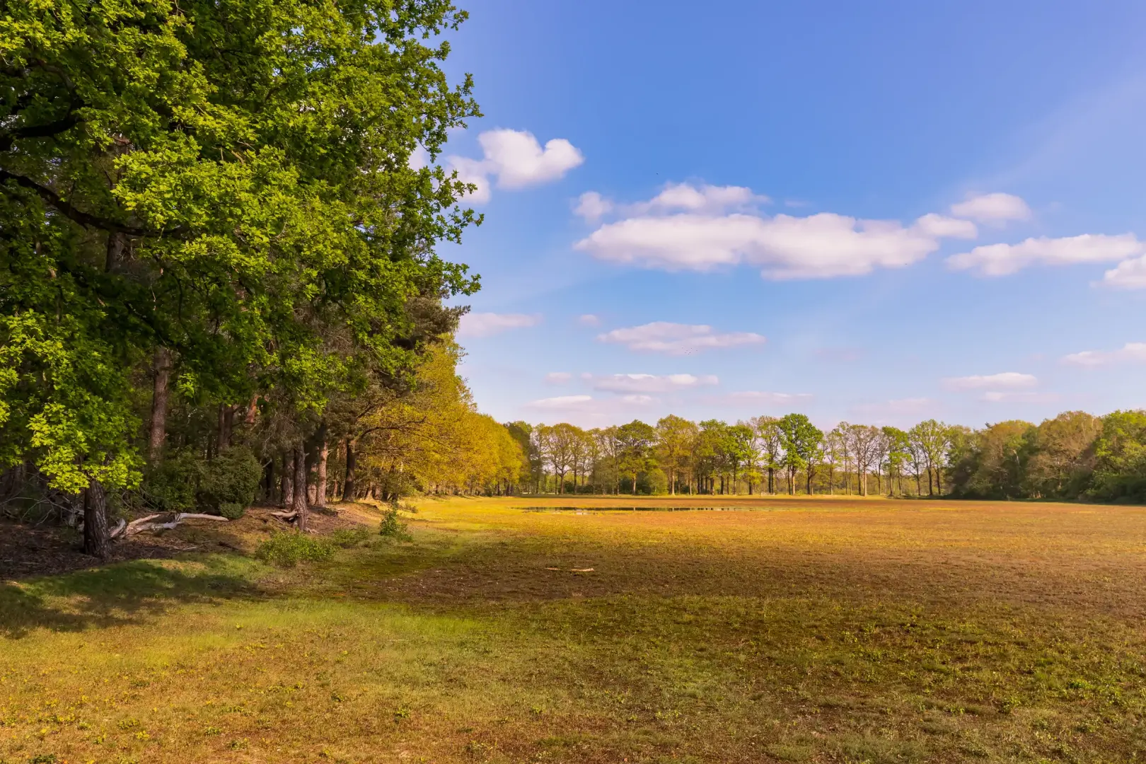 Natuur in Berkelland