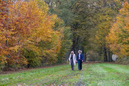 Wandelen in Ruurlo